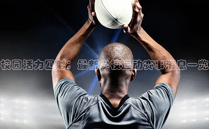 k1体育登录入口网页版